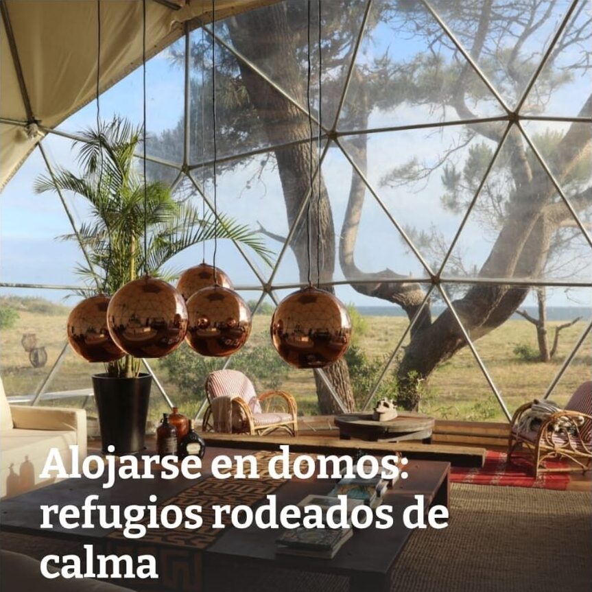 Big Bang Nature Stays