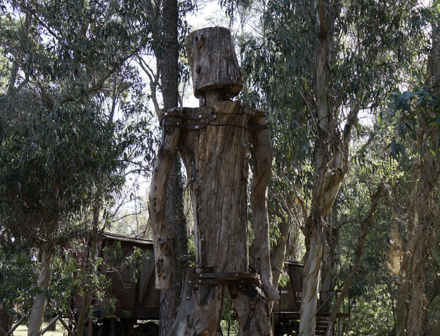 Big Bang Nature Stays